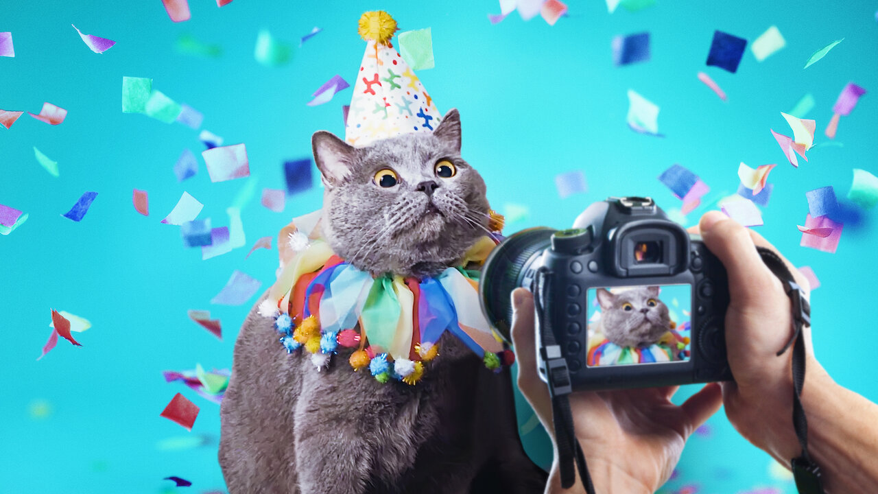 Pets Stars'. Imagem: Netflix/Divulgação